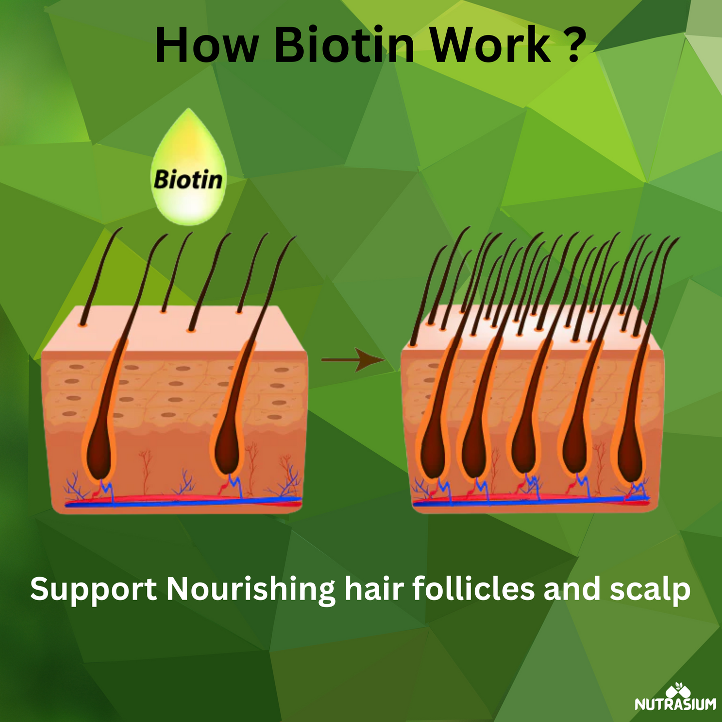 Nutrasium Hair Vitamin With 10000 mcg Plant based Biotin For Hair Growth, Hair Fall Control, Repair Damage Hair, Thick & Strong Hair | 120 Tabletsk